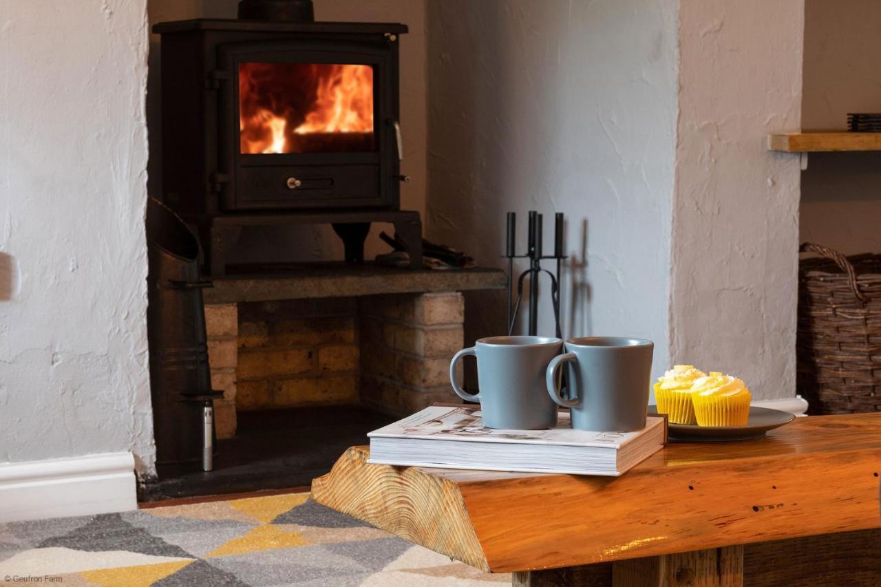 Bryn-crug Farmhouse & Cottage At Geufron Farm - Dog Friendly מראה חיצוני תמונה