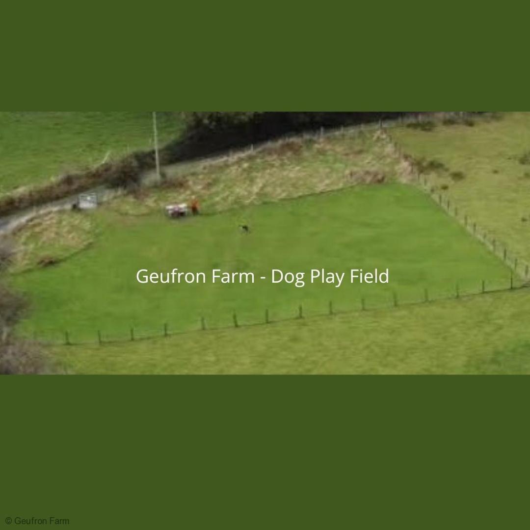 Bryn-crug Farmhouse & Cottage At Geufron Farm - Dog Friendly מראה חיצוני תמונה