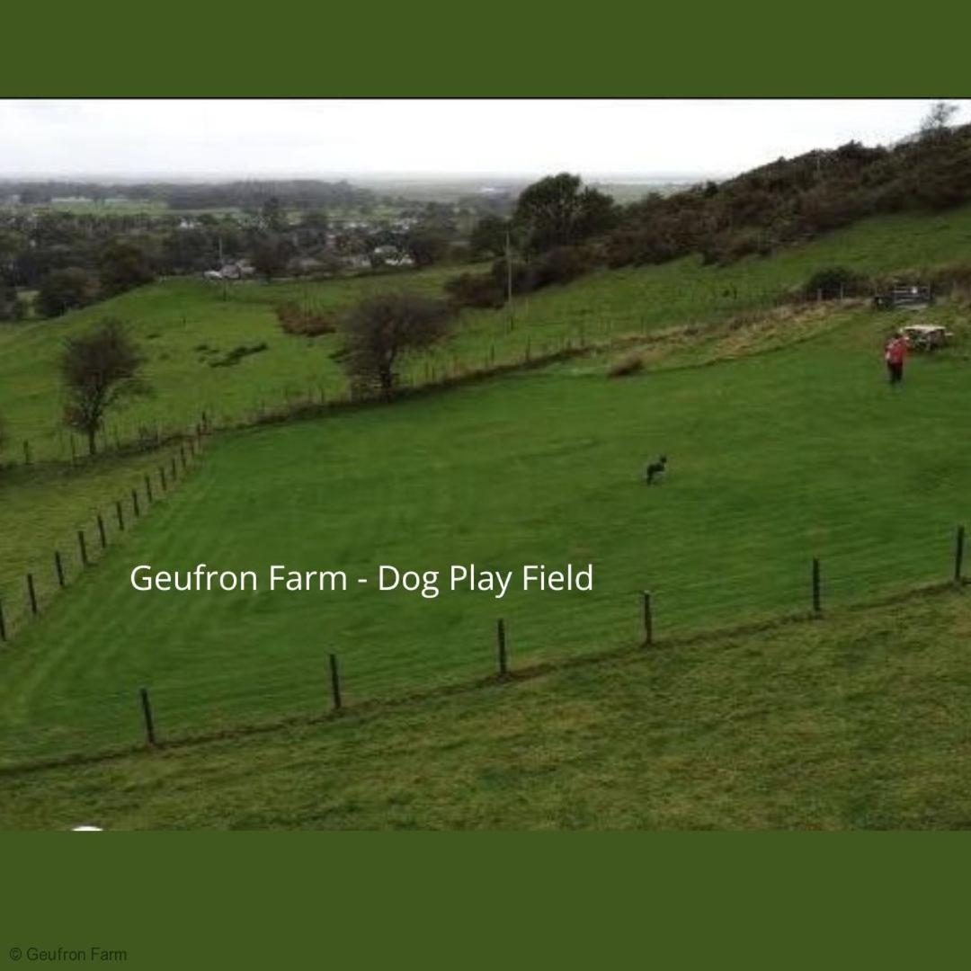 Bryn-crug Farmhouse & Cottage At Geufron Farm - Dog Friendly מראה חיצוני תמונה